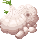 Garlic