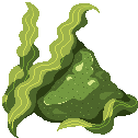 Seaweed